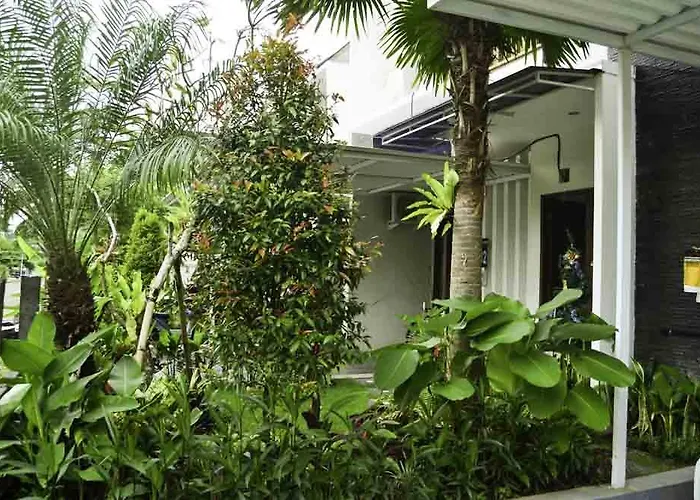 Beluran Serene 3*