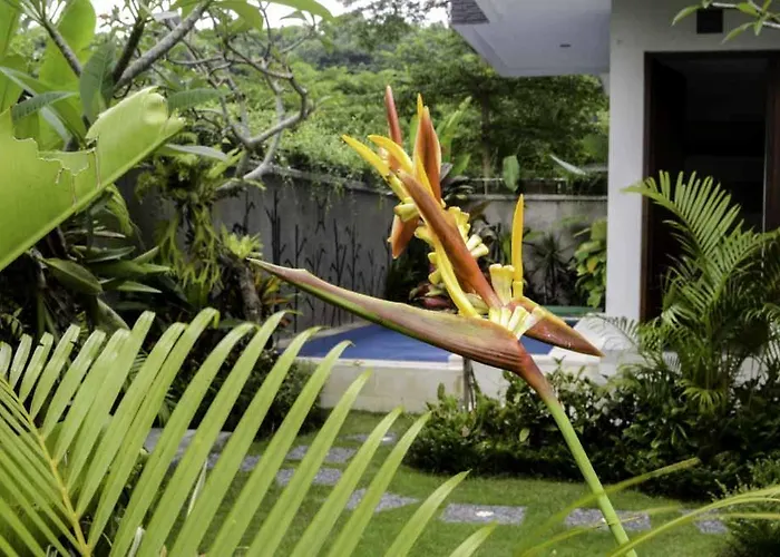 Beluran Serene 3*