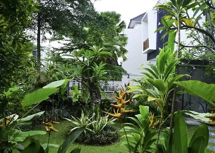 Beluran Serene 3* Selemadeg